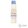 Rogé Cavaillès Déodorant ABSORB+ 48h Anti-Traces Spray 150ml